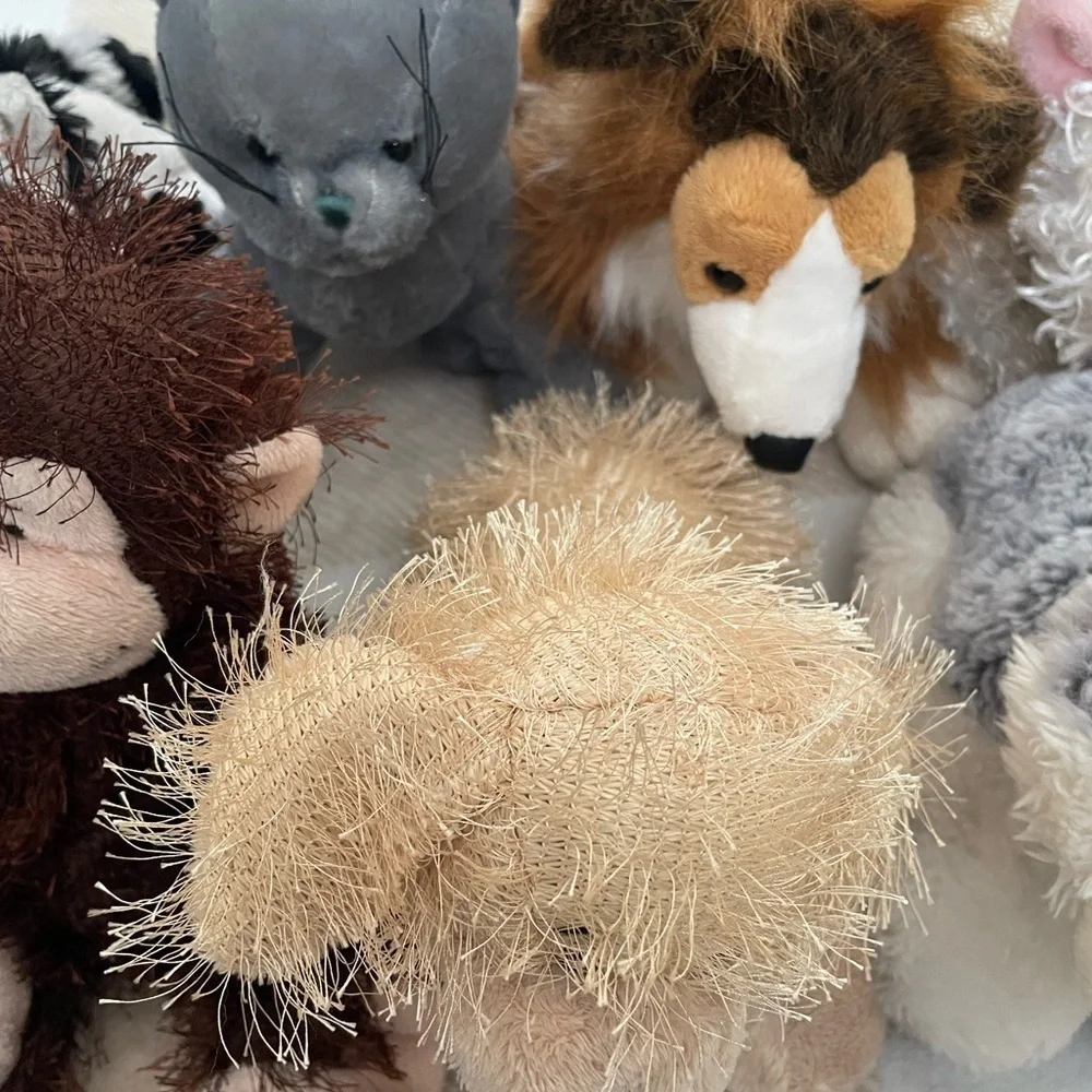 Lot of 11 Webkinz toys, Cats, Dogs, Racoon, and Monkey. Only the frog has a code